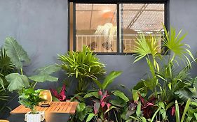 Xaman - Boutique Studios